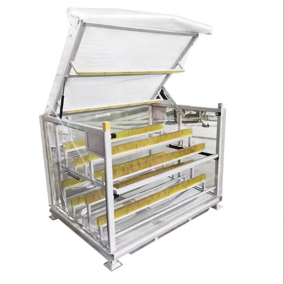 �Ǳ�����